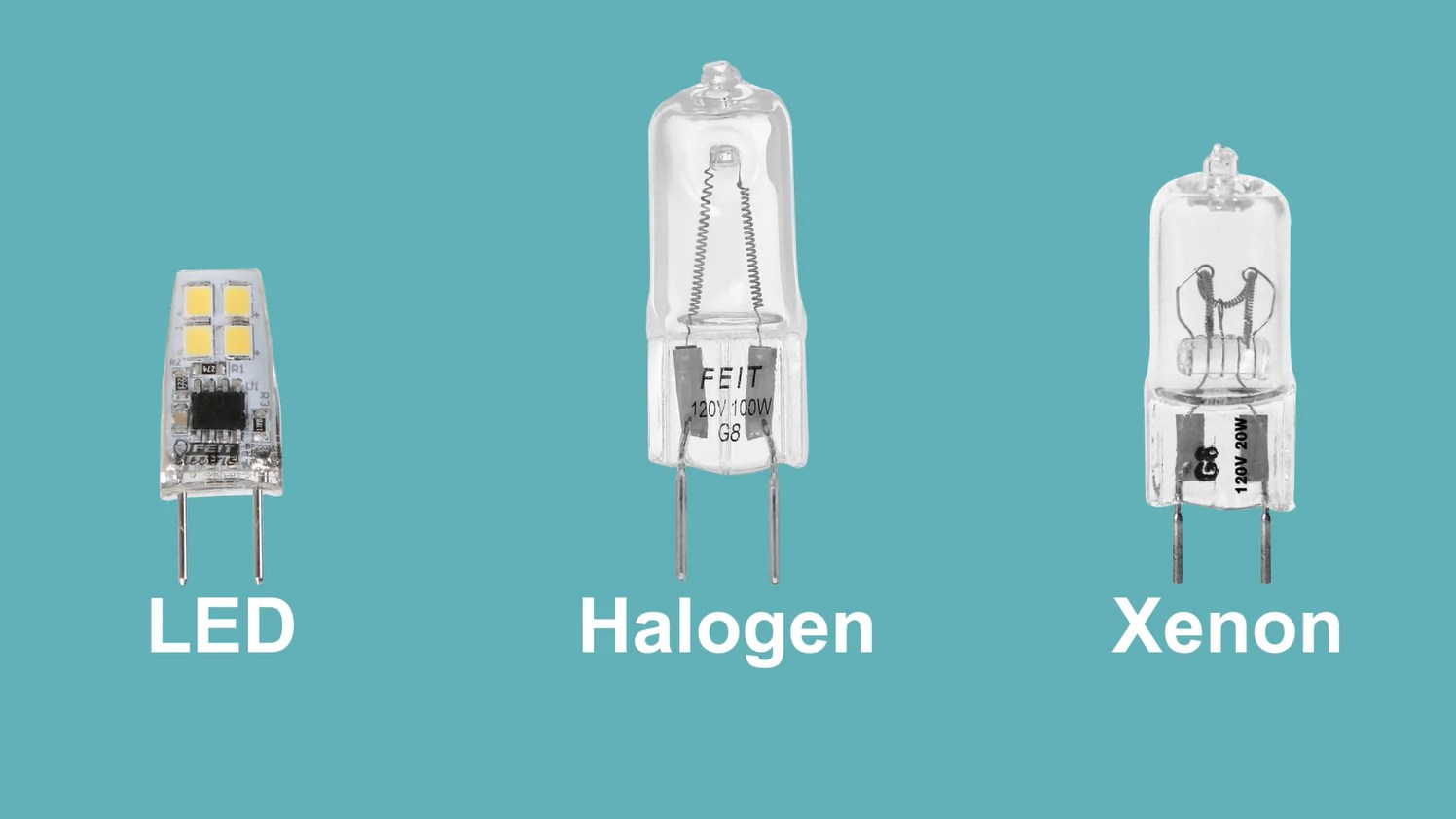 Specialty Light Bulbs Feit Electric