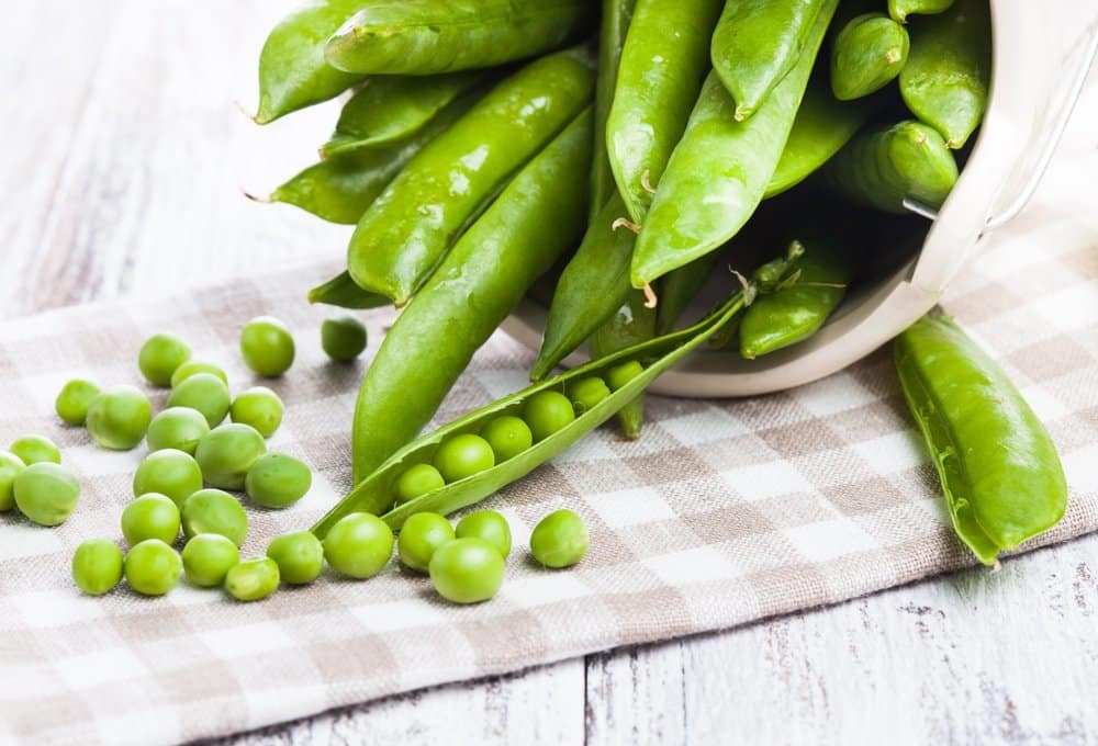 Proteína de ervilha isolada tudo o que você precisa saber a respeito