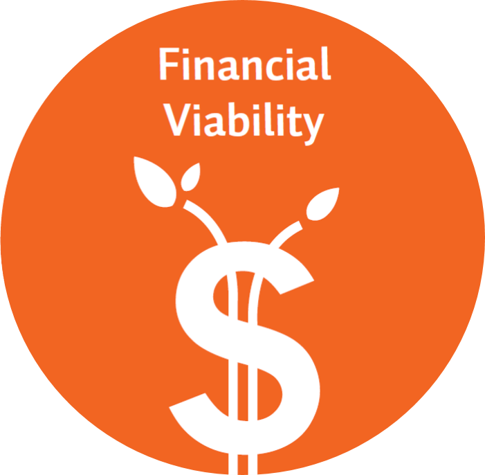 Financial Viability Felician Services