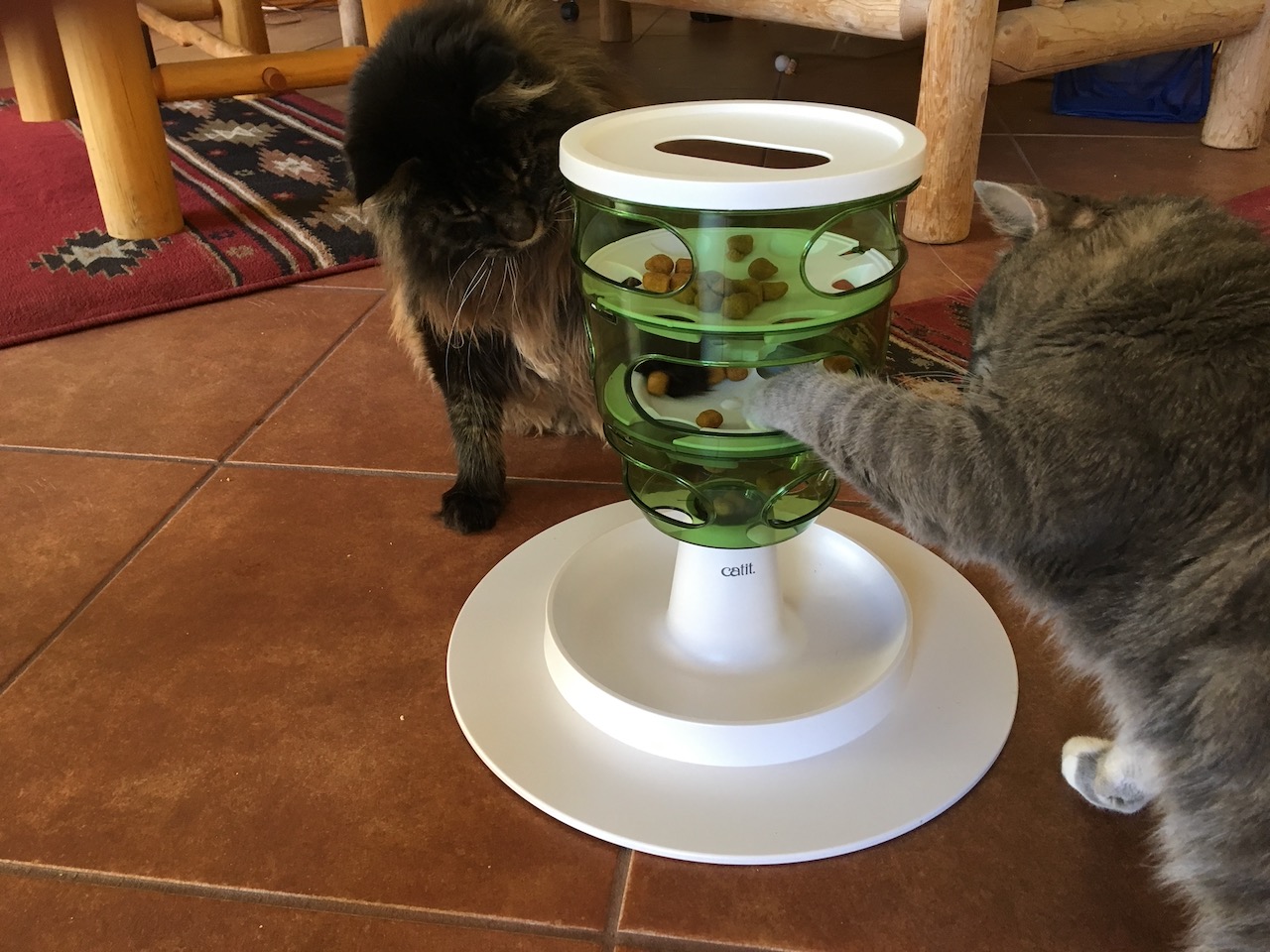 Cats eating from a food puzzle contrafreeloading?