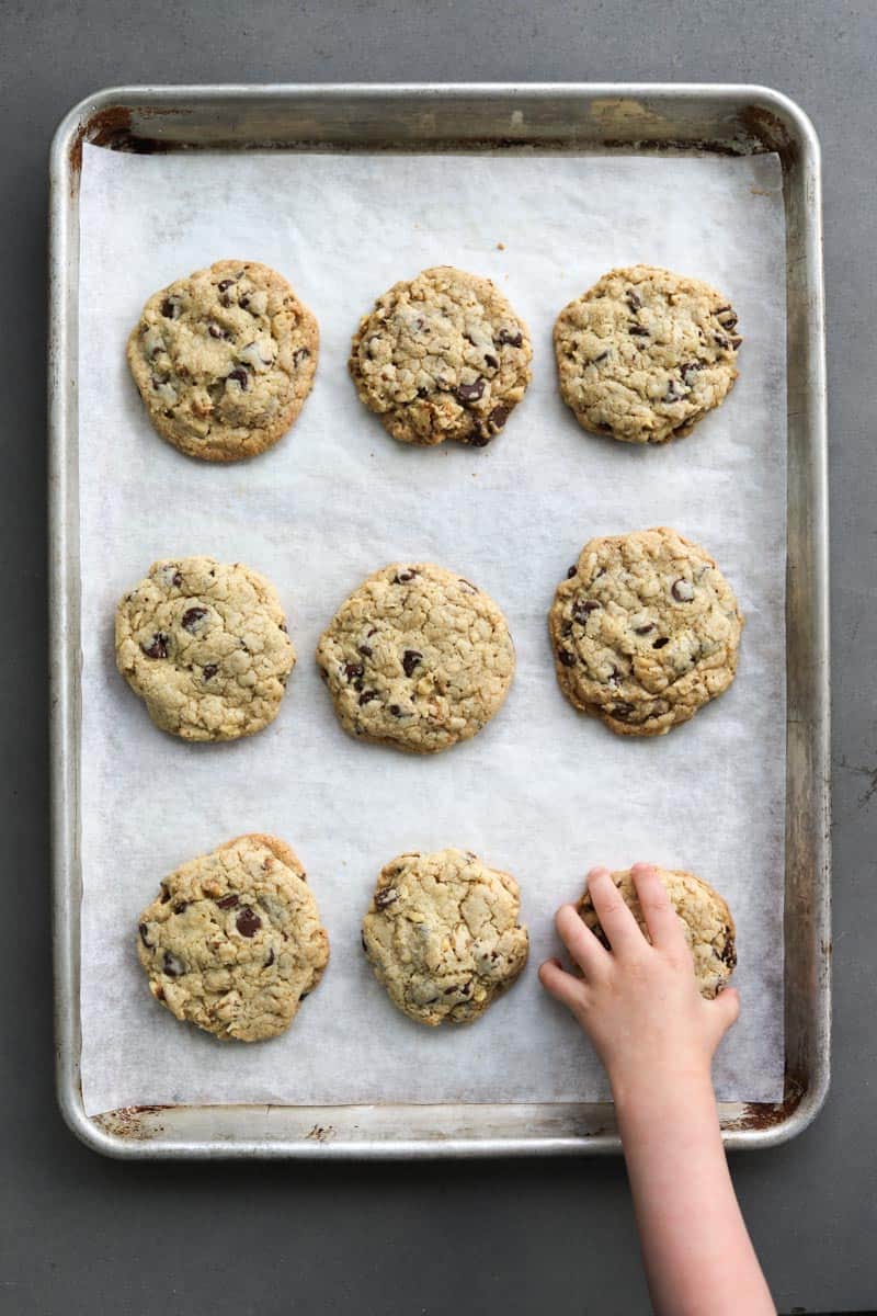 DoubleTree Chocolate Chip Cookie Recipe Female Foodie