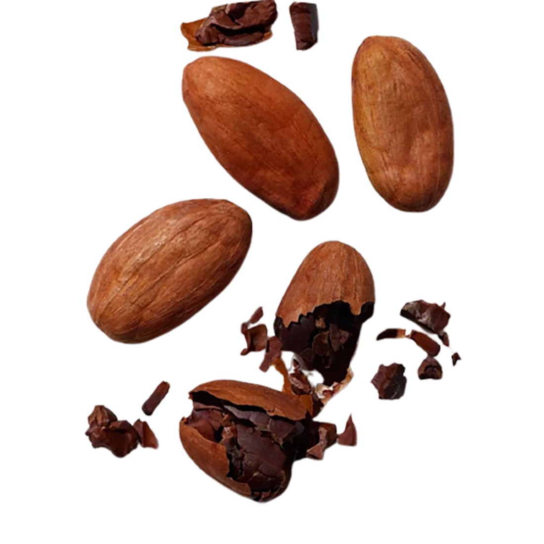 Peru Organic Cocoa Beans Healthy Food