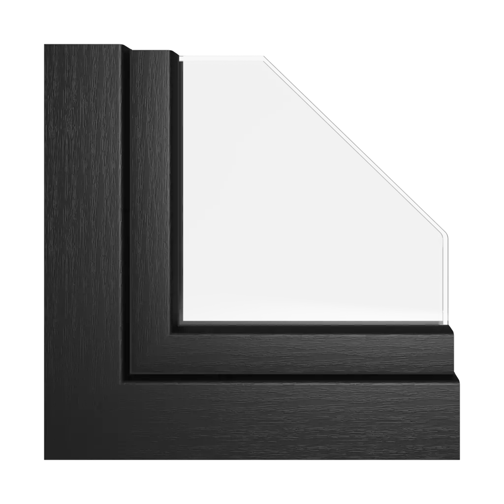 Feneste Windows Colors Rehau colors Jet black