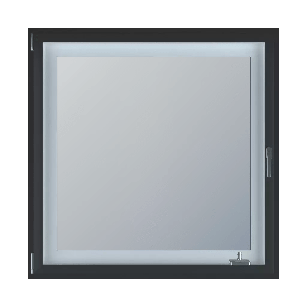 Types of antiburglary fittings Windows Feneste