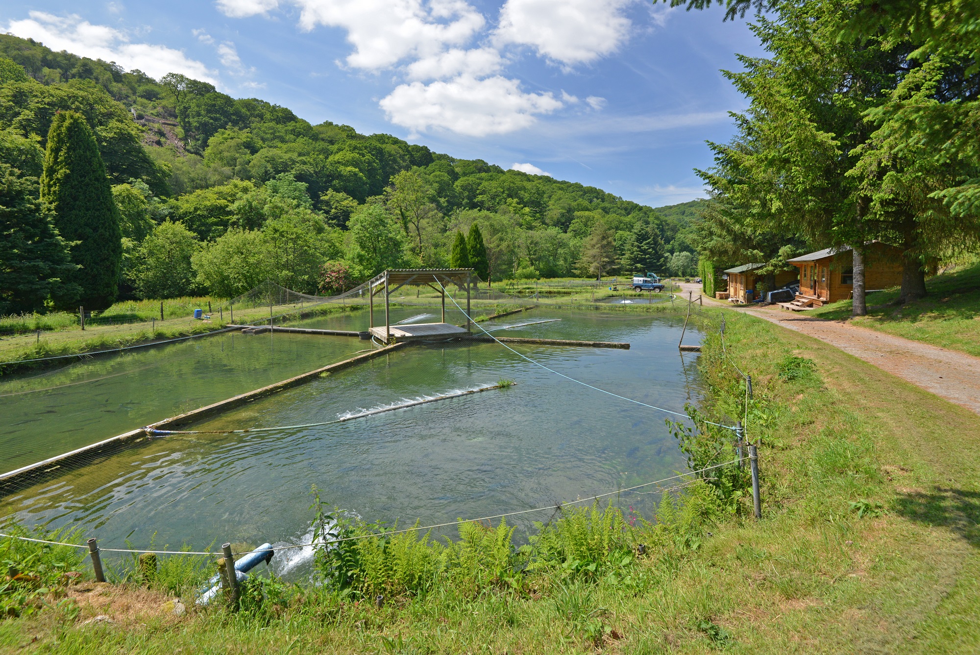 Unique and profitable fish farm for sale in the Haddon Hills of Exmoor