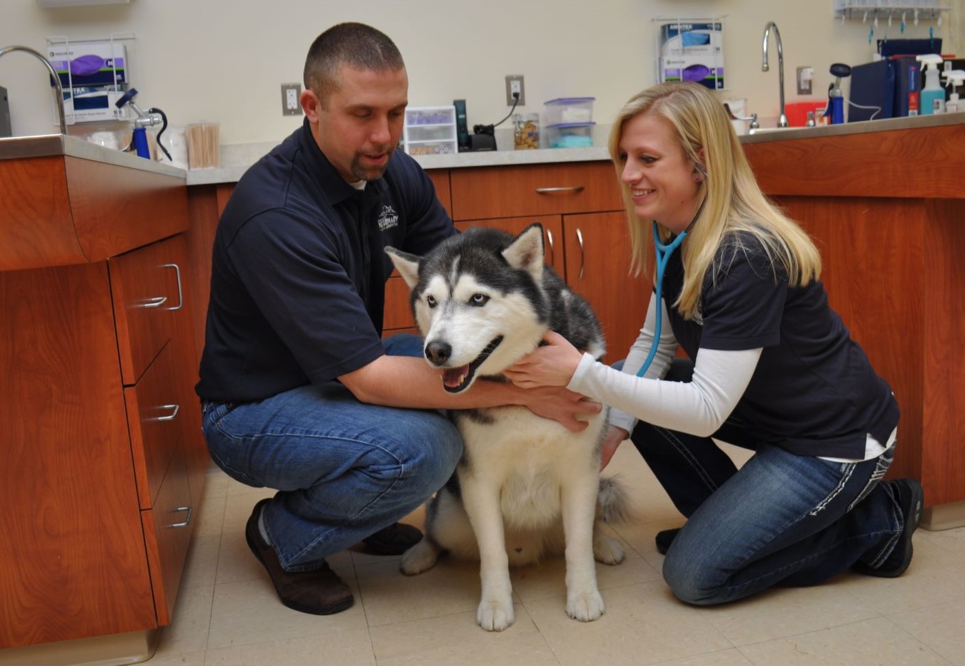 john exam Fenton River Veterinary Hospital