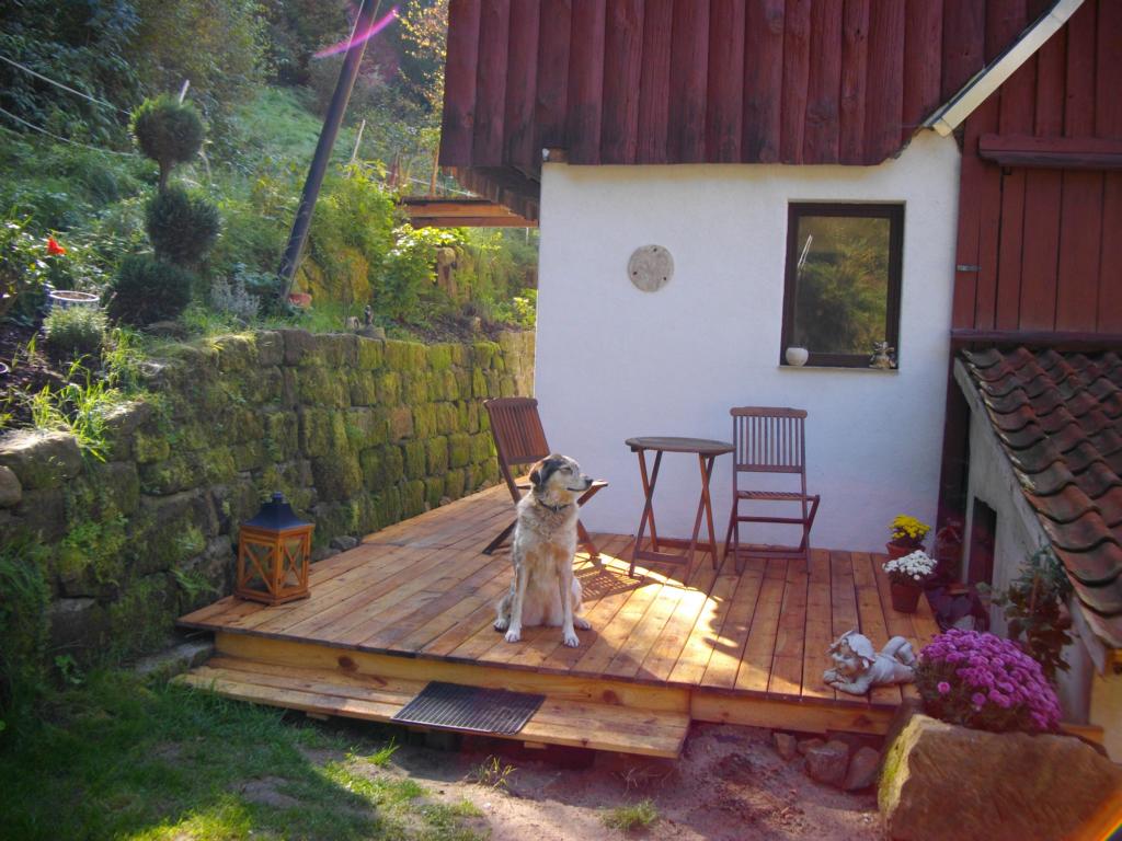 Ideen fur Ferienhaus Sächsische Schweiz Mit Hund