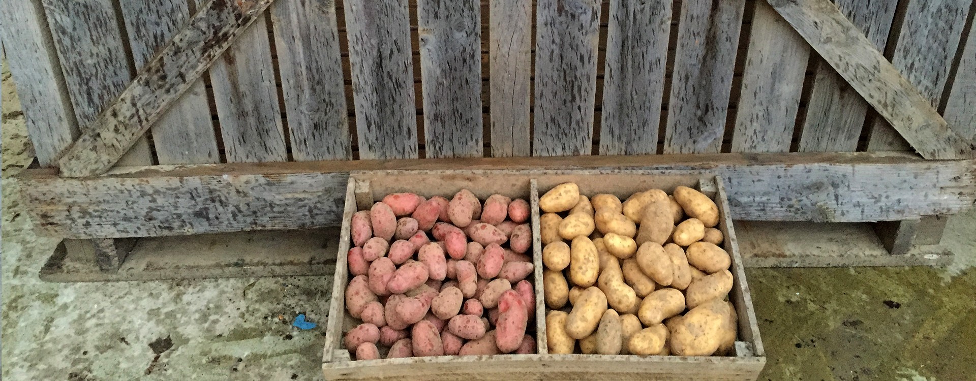 vente de pommes de terre à la ferme soissons FERME DE FOREST