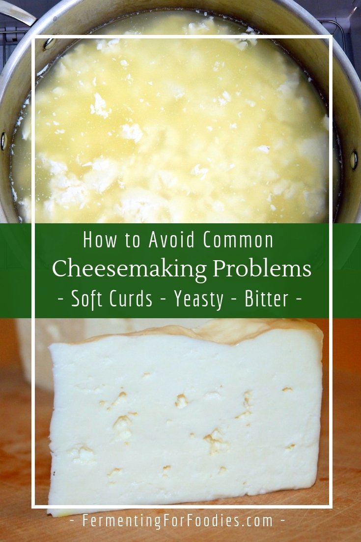 Cheesemaking Problems and how to solve them Fermenting for Foodies
