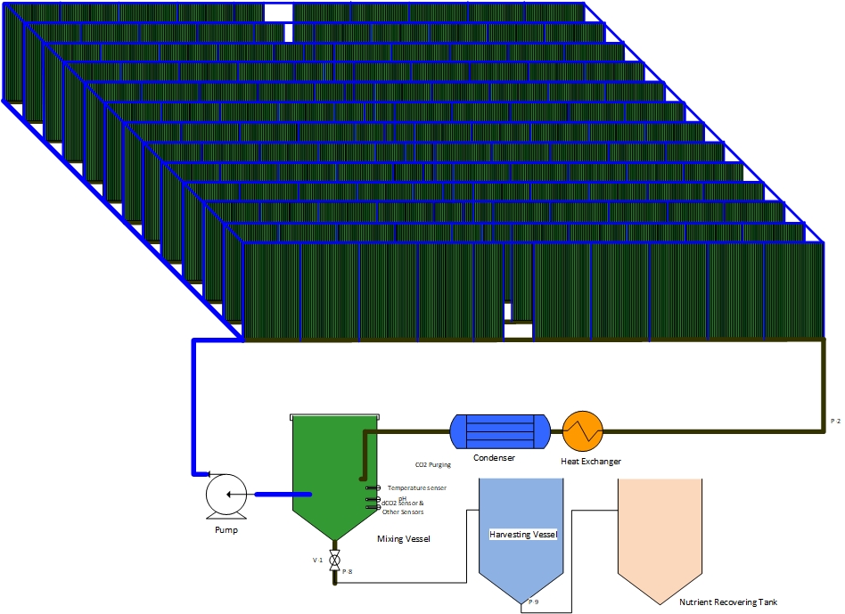 Photobioreactor Industrial Scale