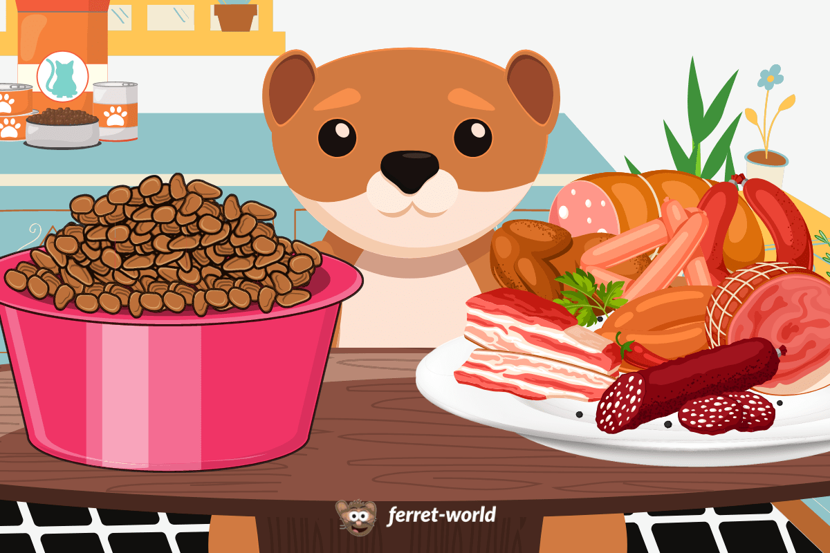 Switching Your Ferret to a Raw Diet Pros, Cons, and Tips for Preparing