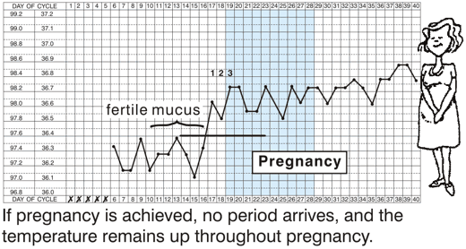 milbatipmi how high to tempature stay up if pregnant
