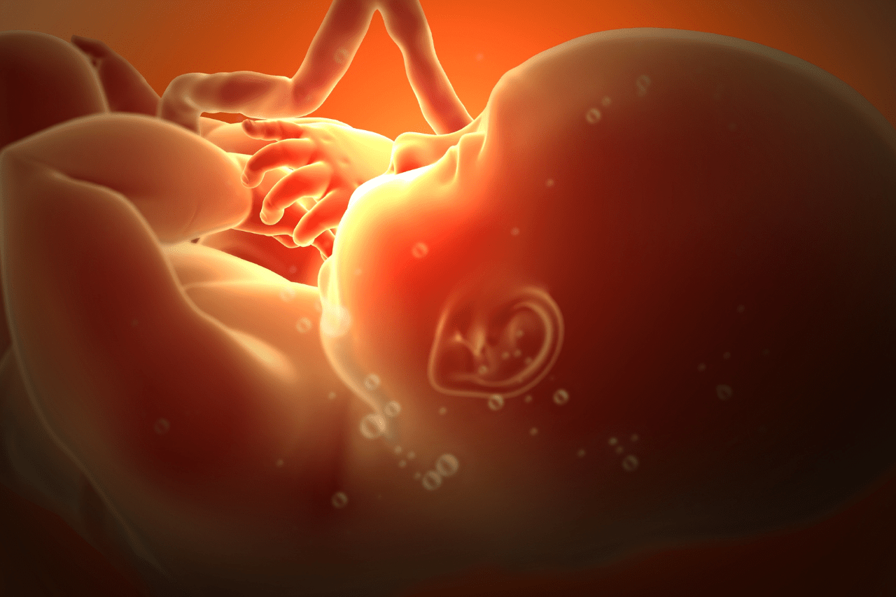 What to do after embryo transfer? 10 tips for caring yourself