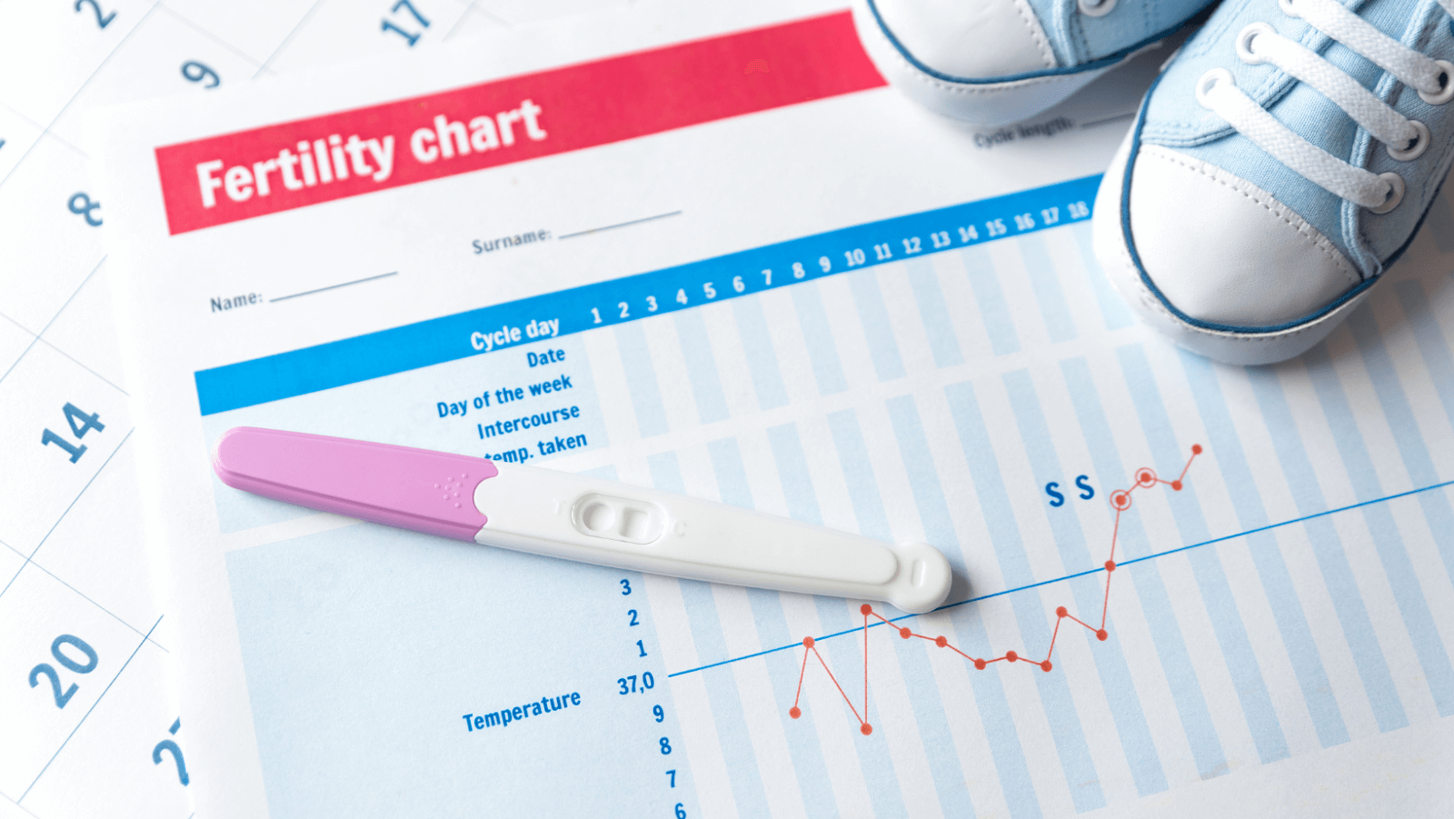The Importance of AMH Testing Evaluating Fertility Potential