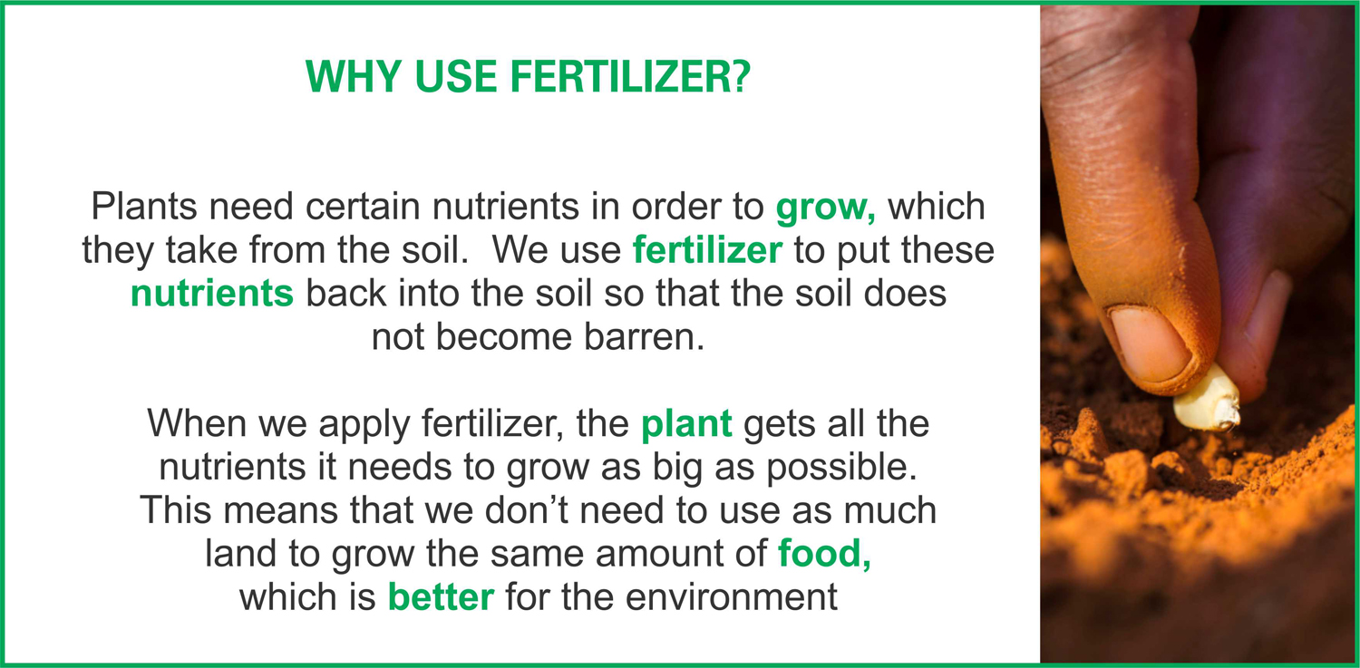 Cool Why Do Plants Need Care Ideas PlantNews