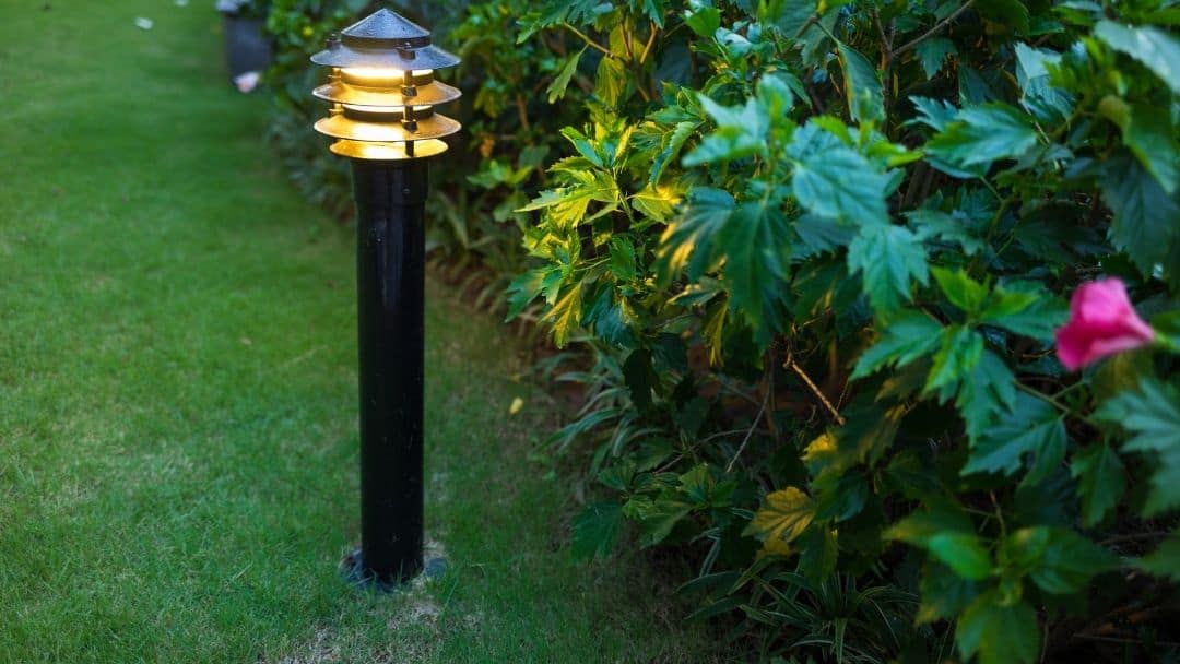 outdoor lights Fertilizer for Less