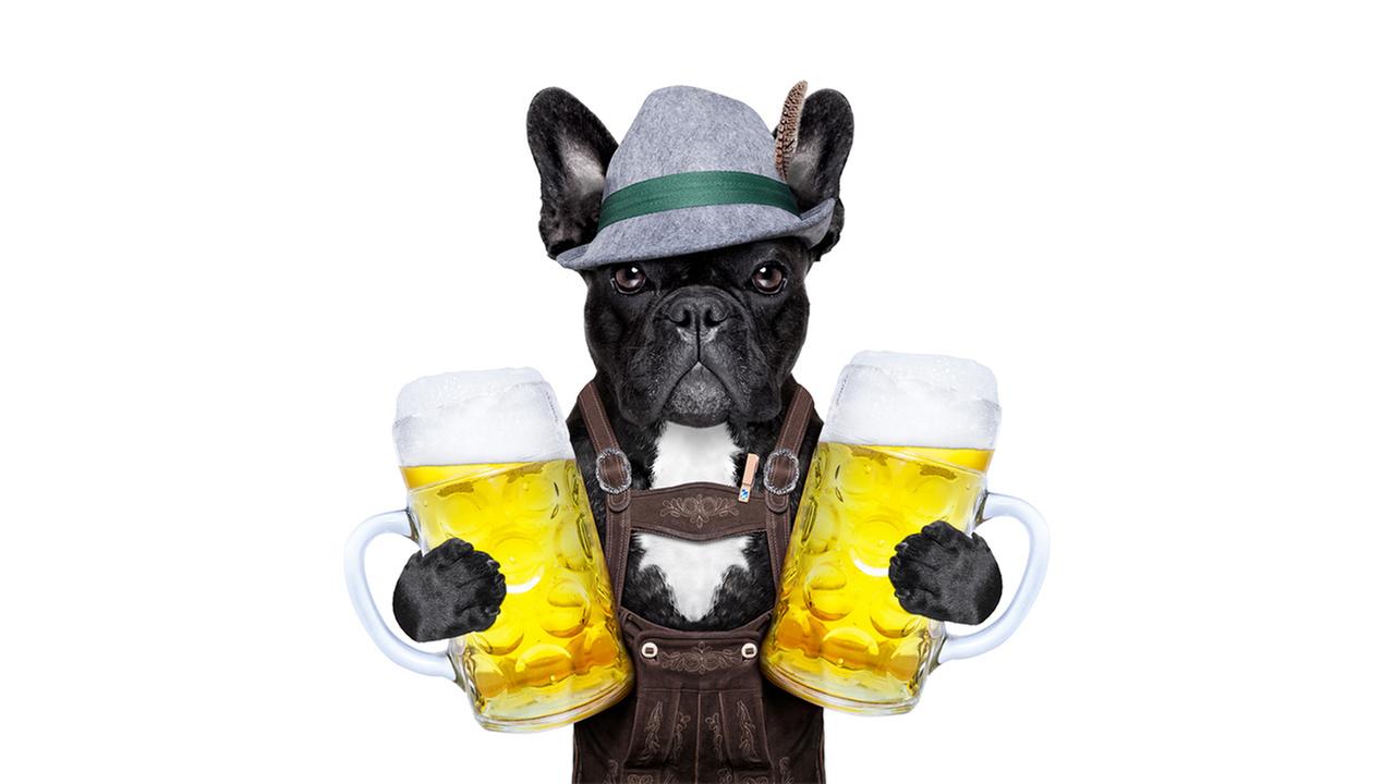 This Festival Combines Dogs And Beers So Please Sign Us Up Already