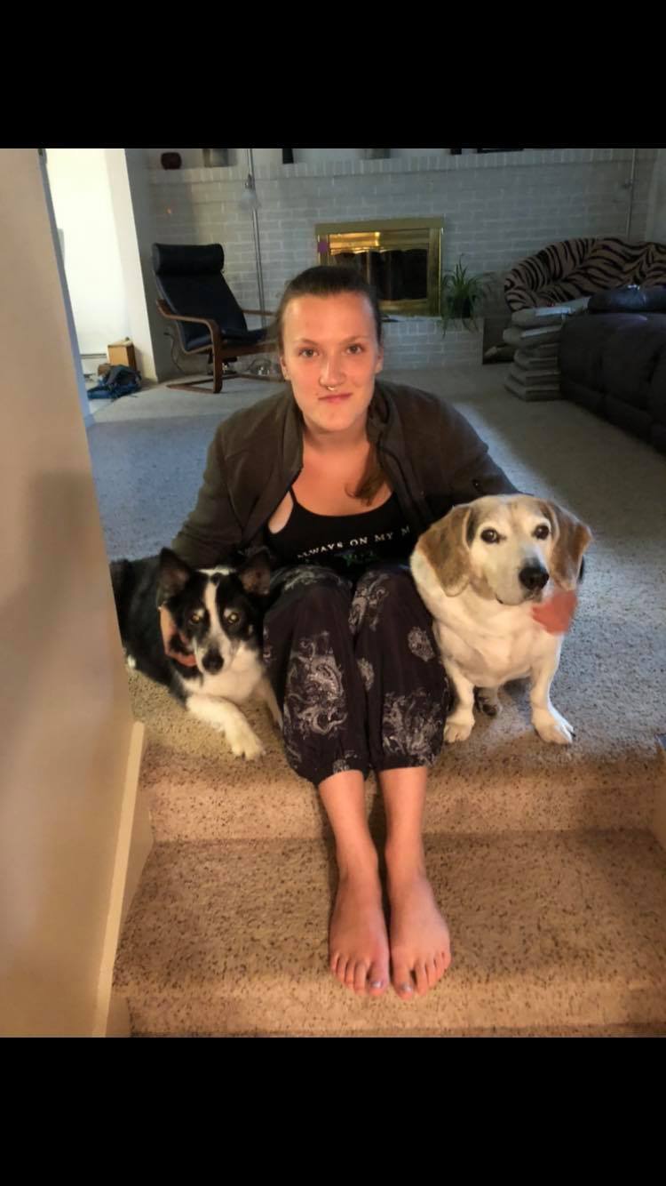 Our Team of Dog Watchers in the SeattleBellevue Area Fetch! Pet Care
