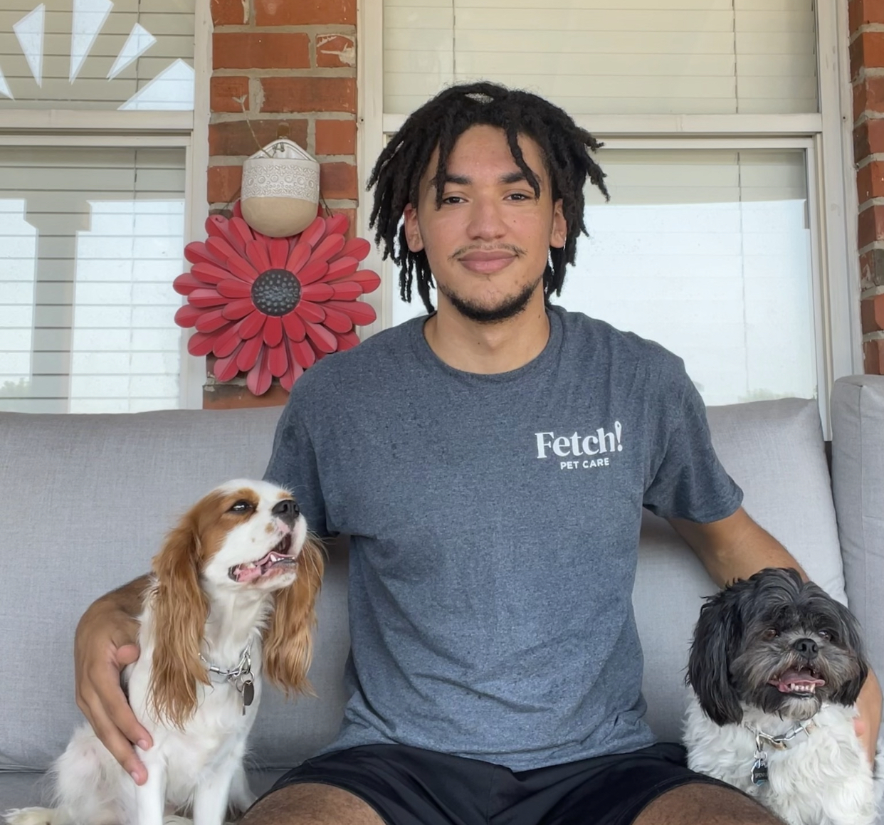 Dog Boarding Flower Mound Best Flower Site