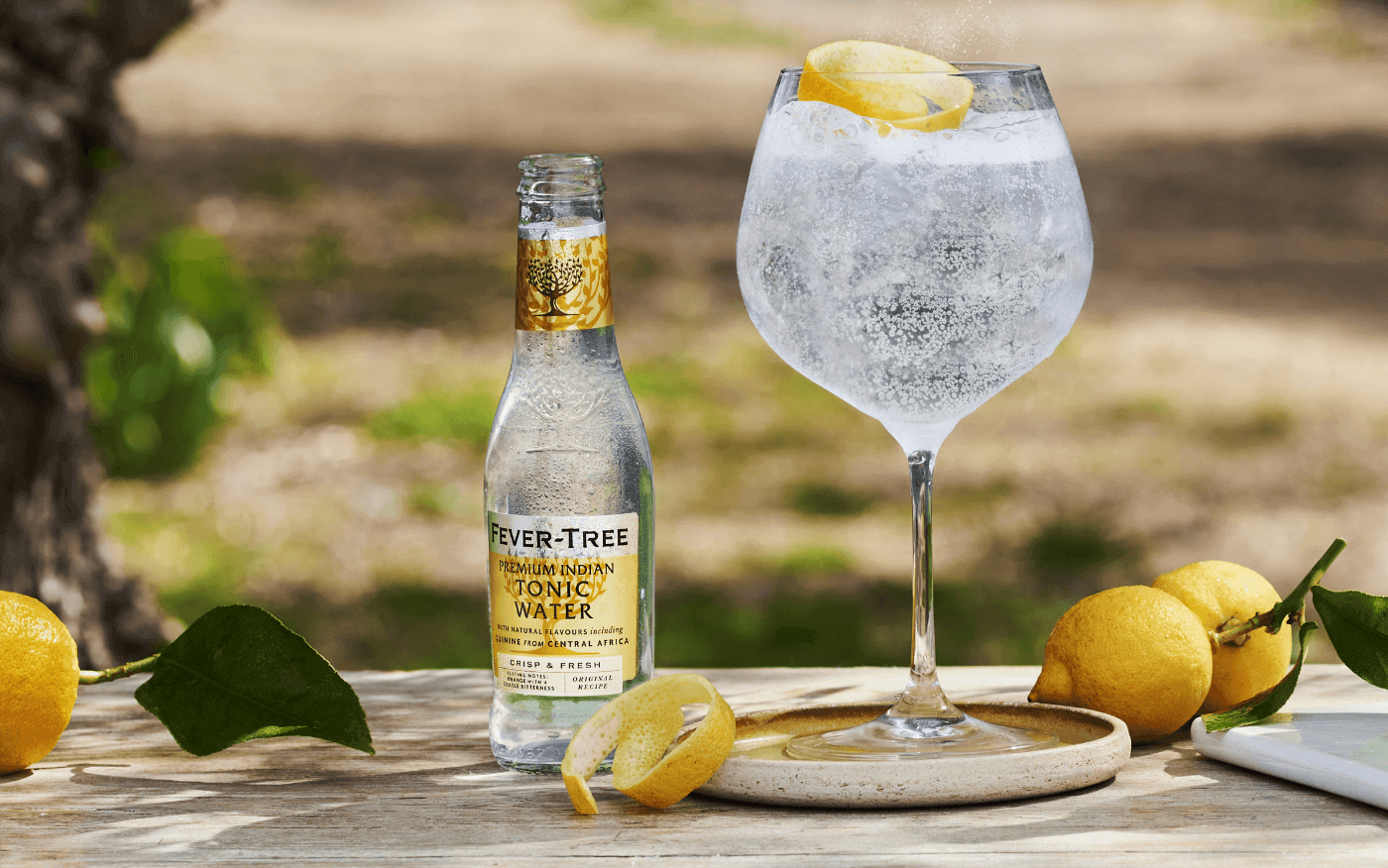 LINEUP フィーバーツリー