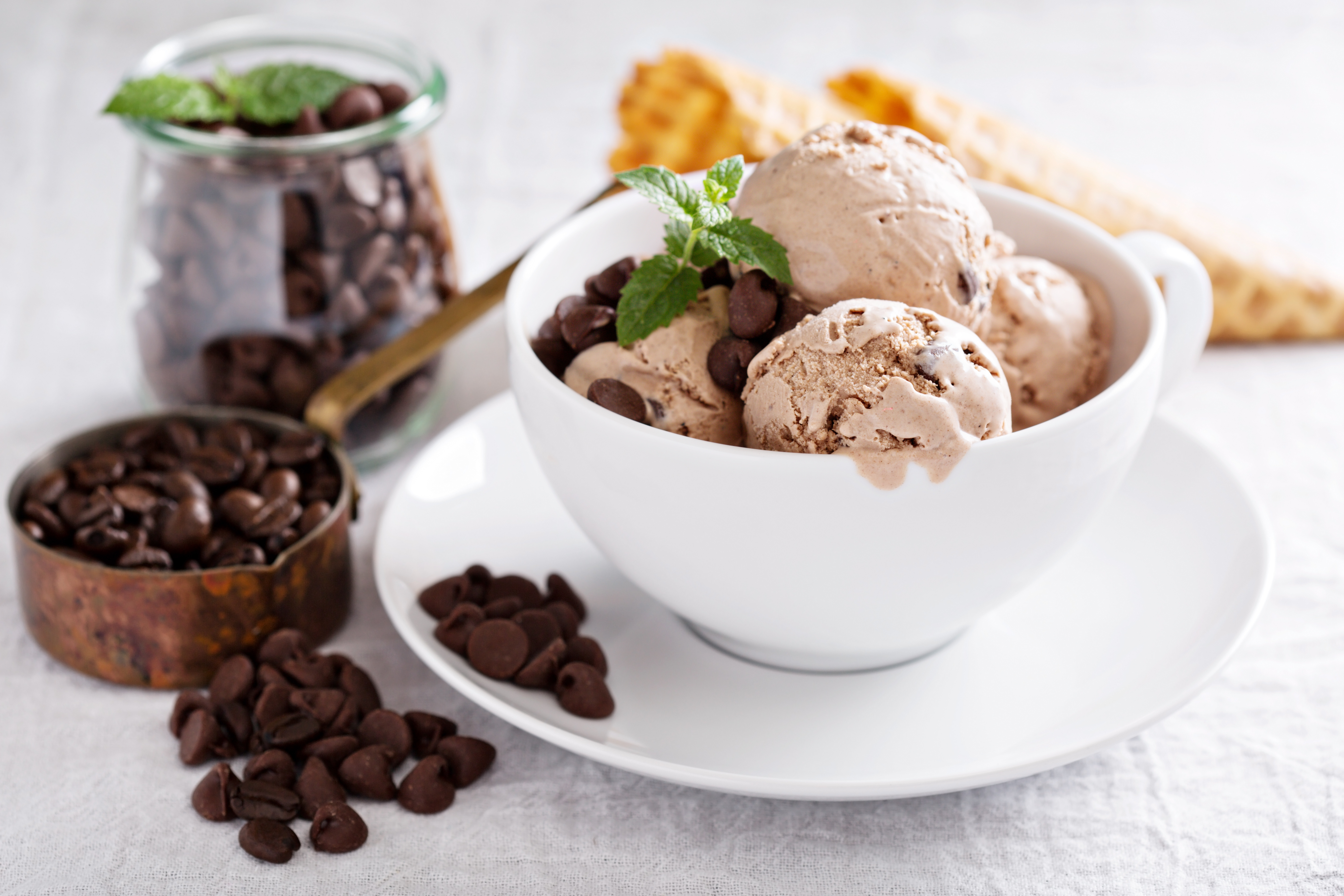 Mocha Chip Protein Ice Cream FFactor