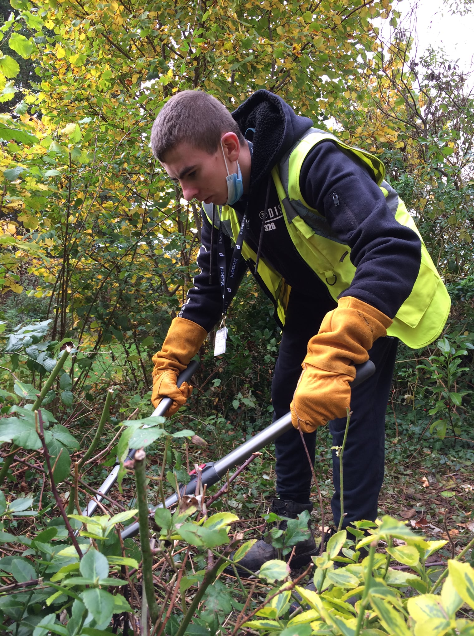 Students enjoy work experience at Palmer Gardens Fairfield College