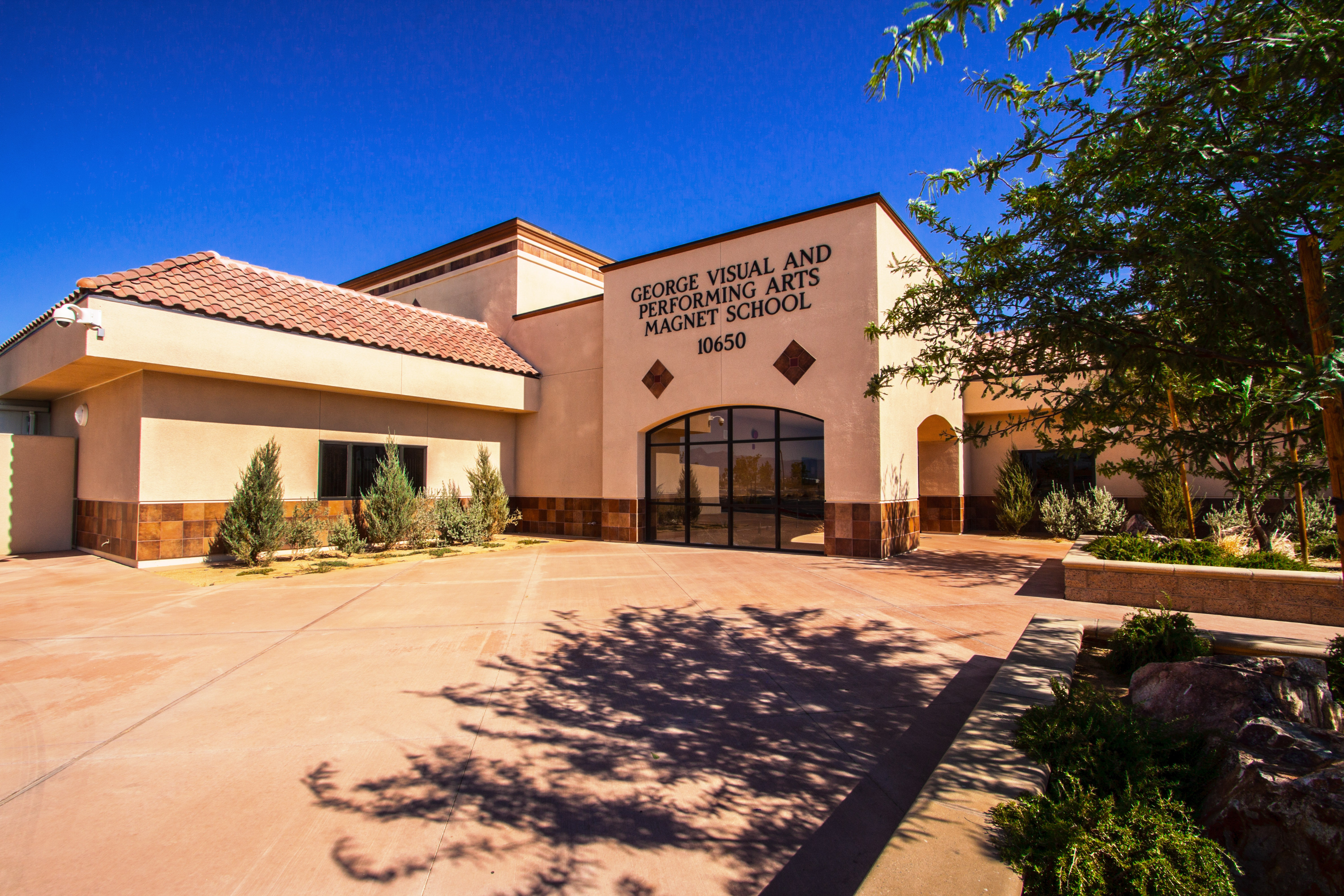 Visual and Performing Arts School 1