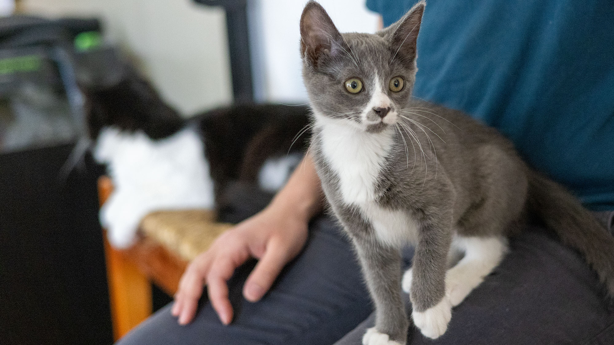 Feral Freedom NorCal