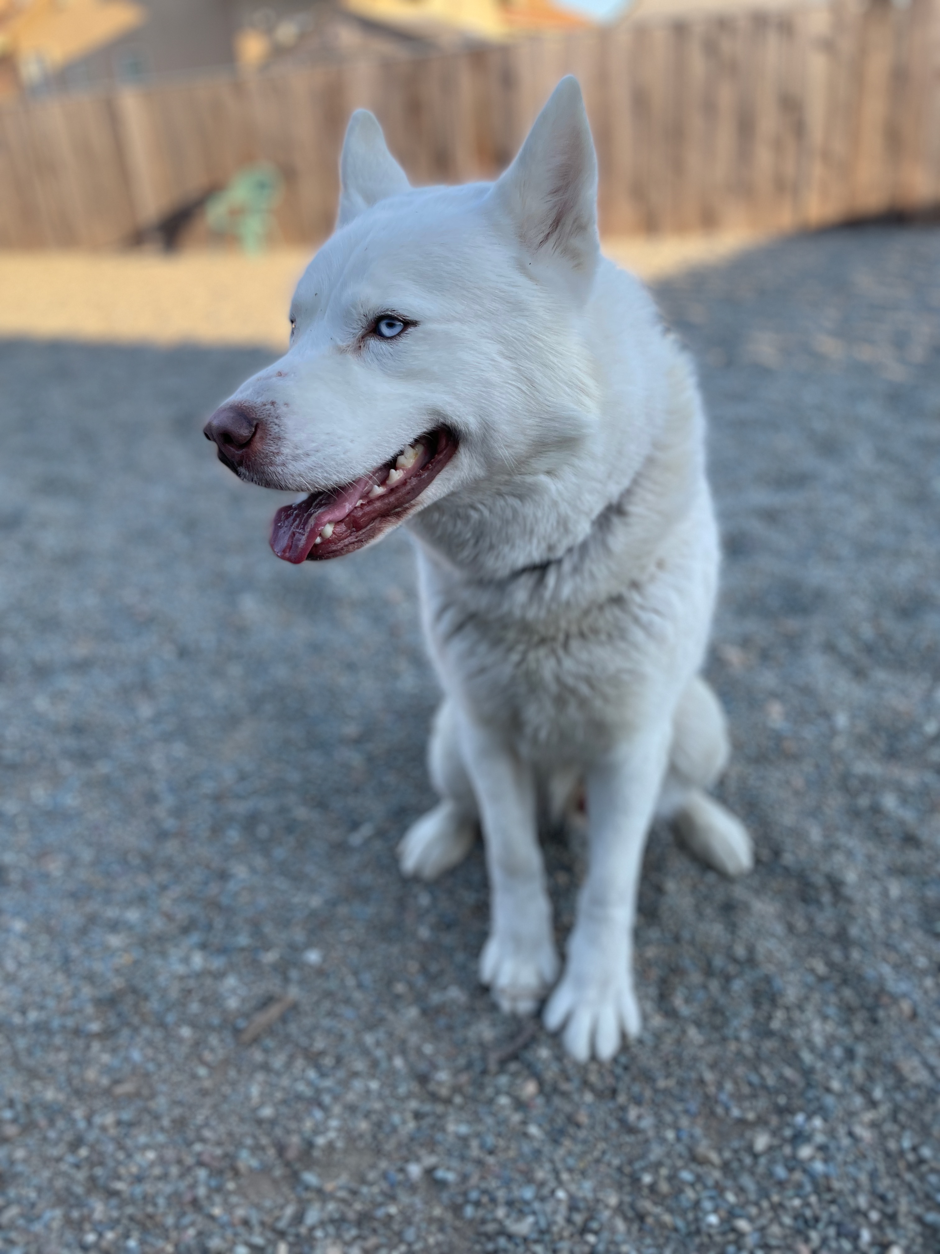 Feral Freedom NorCal