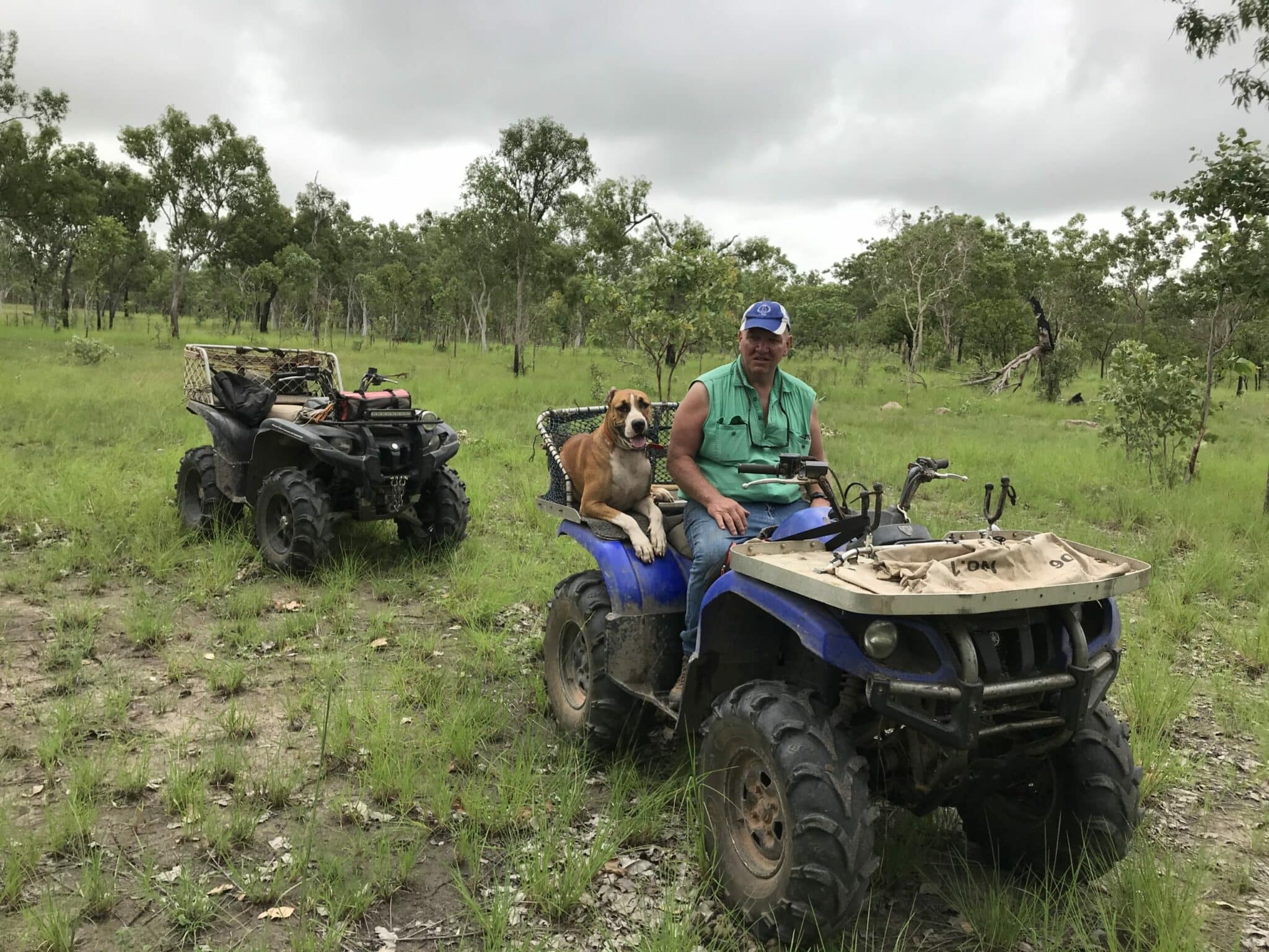 Fondation Franz Weber Wild Horse Sanctuary in Australia