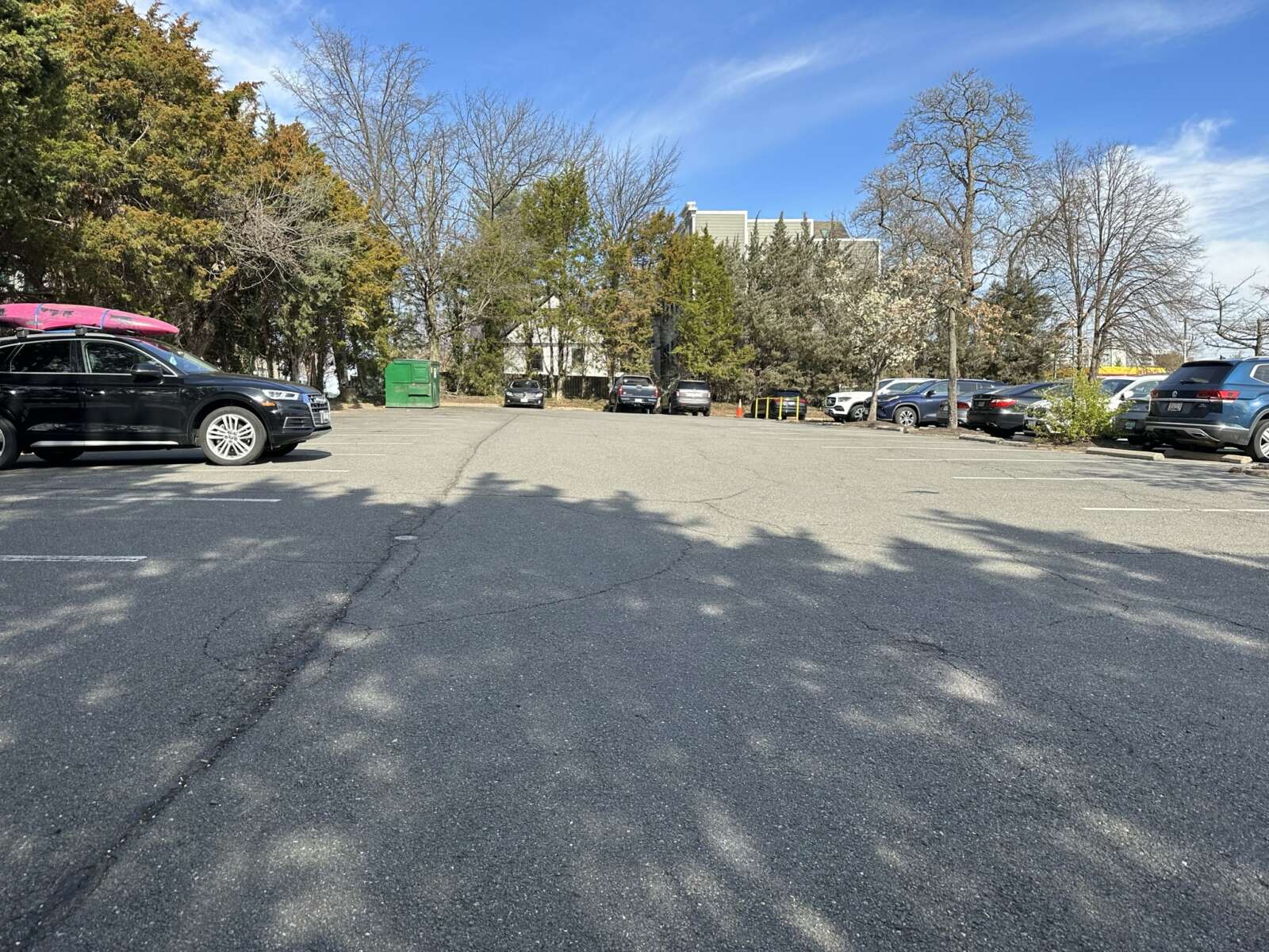 Fairfax County poised to approve new tree requirements for parking lots