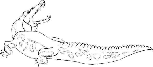 Free Alligator Graphics Animated Alligators Clipart