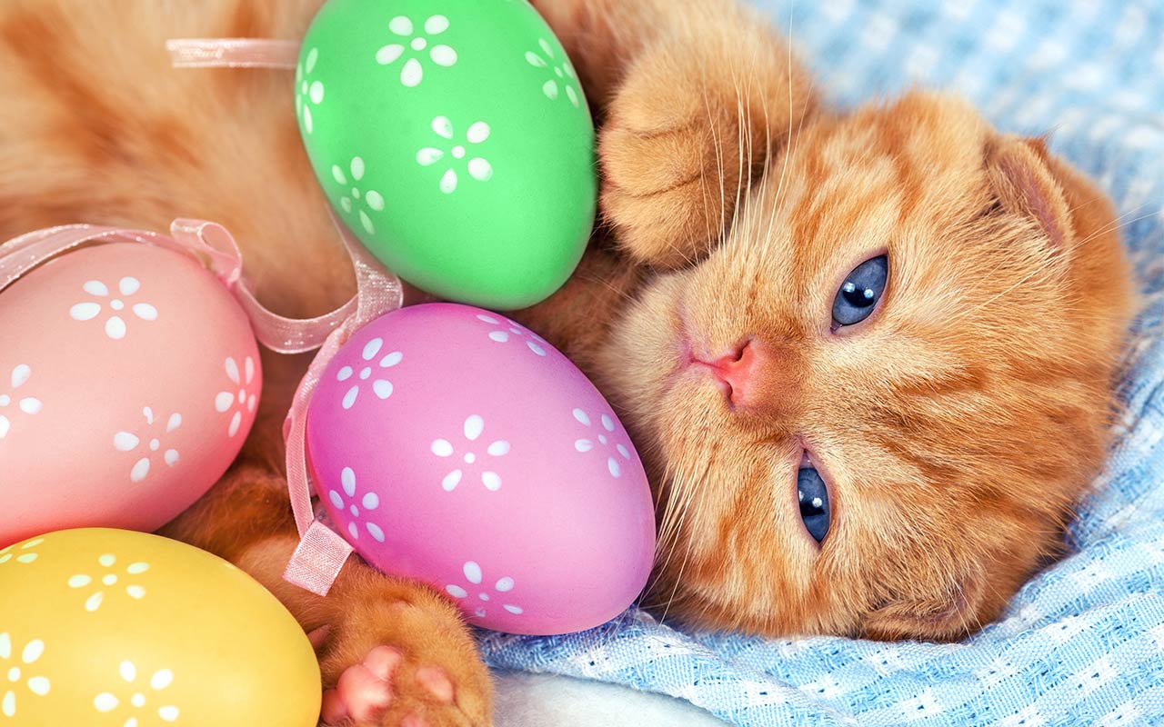 Free Easter Background Images Wallpapers