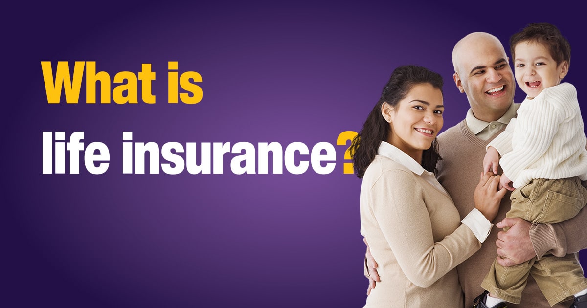 Learn about Life Insurance and Its Features F&G