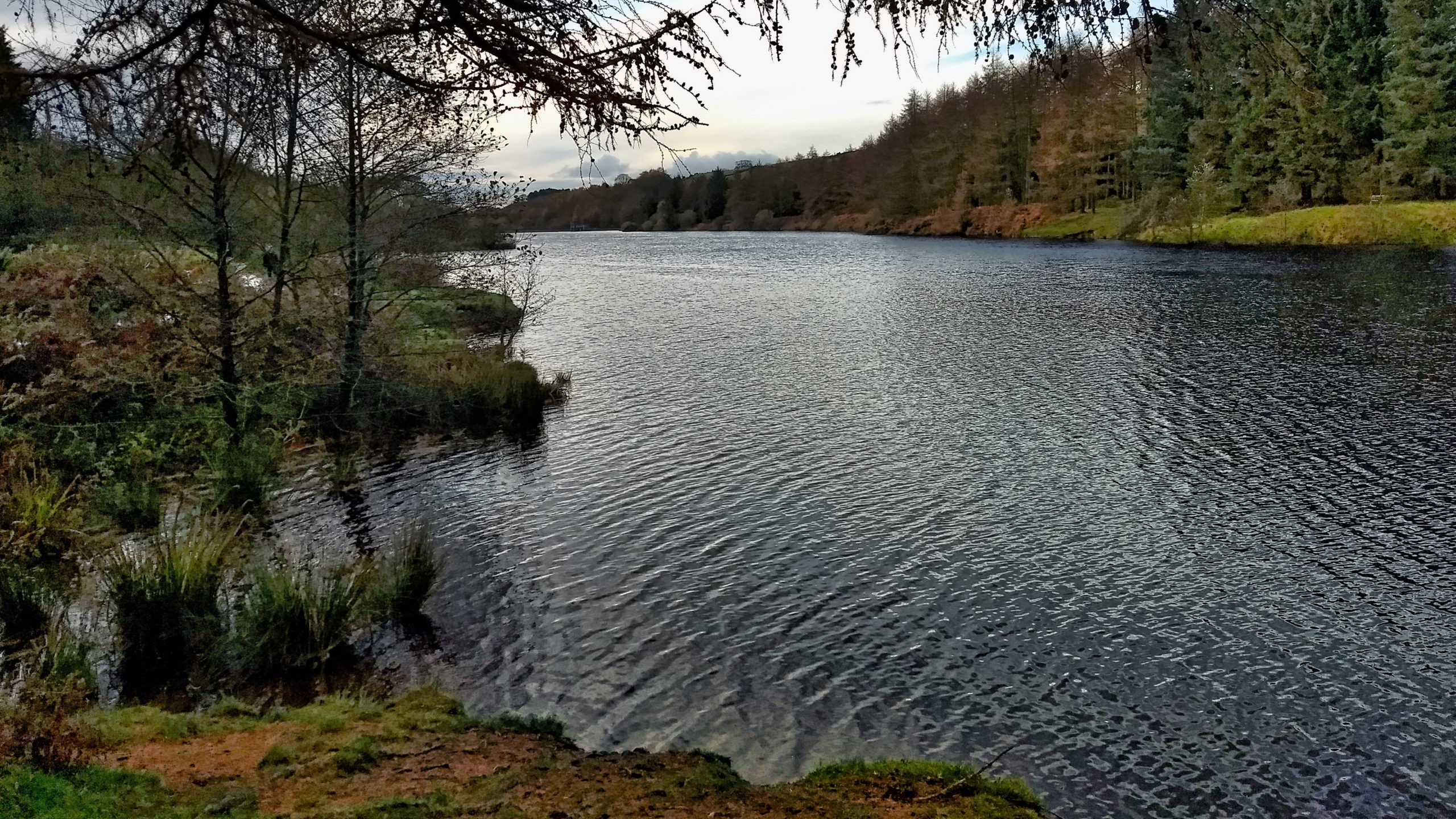 Cod Beck Reservoir Out and about