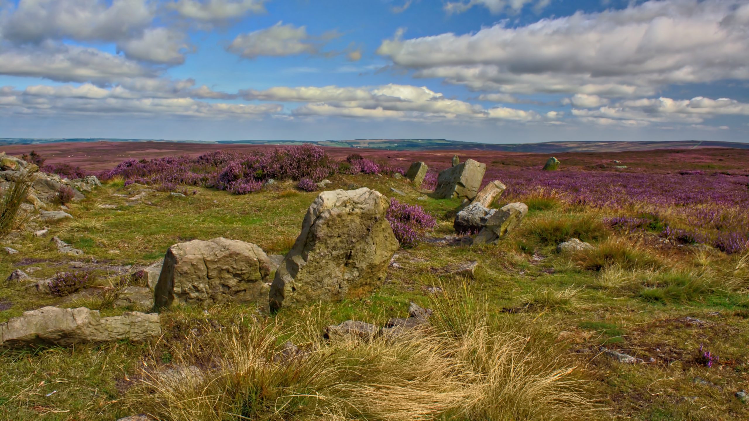 Simon Howe on Goathland Moor Out and about