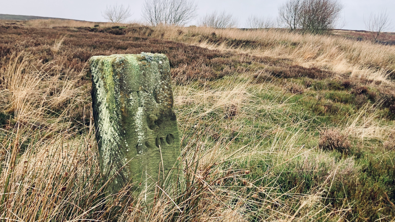 Where was I? Fhithich