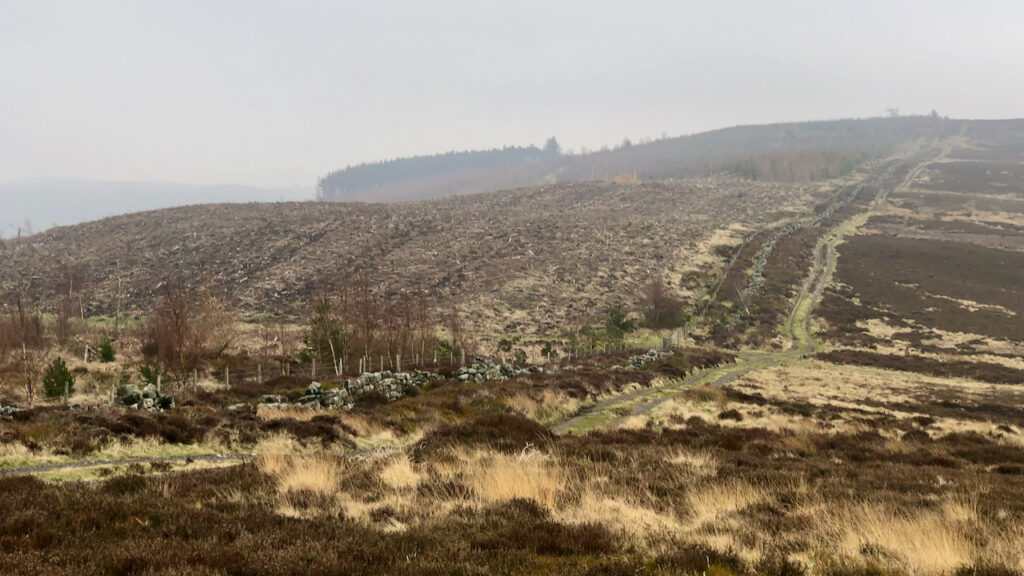 Highcliff Gate — From Glacial Spillway to Farm Track Out