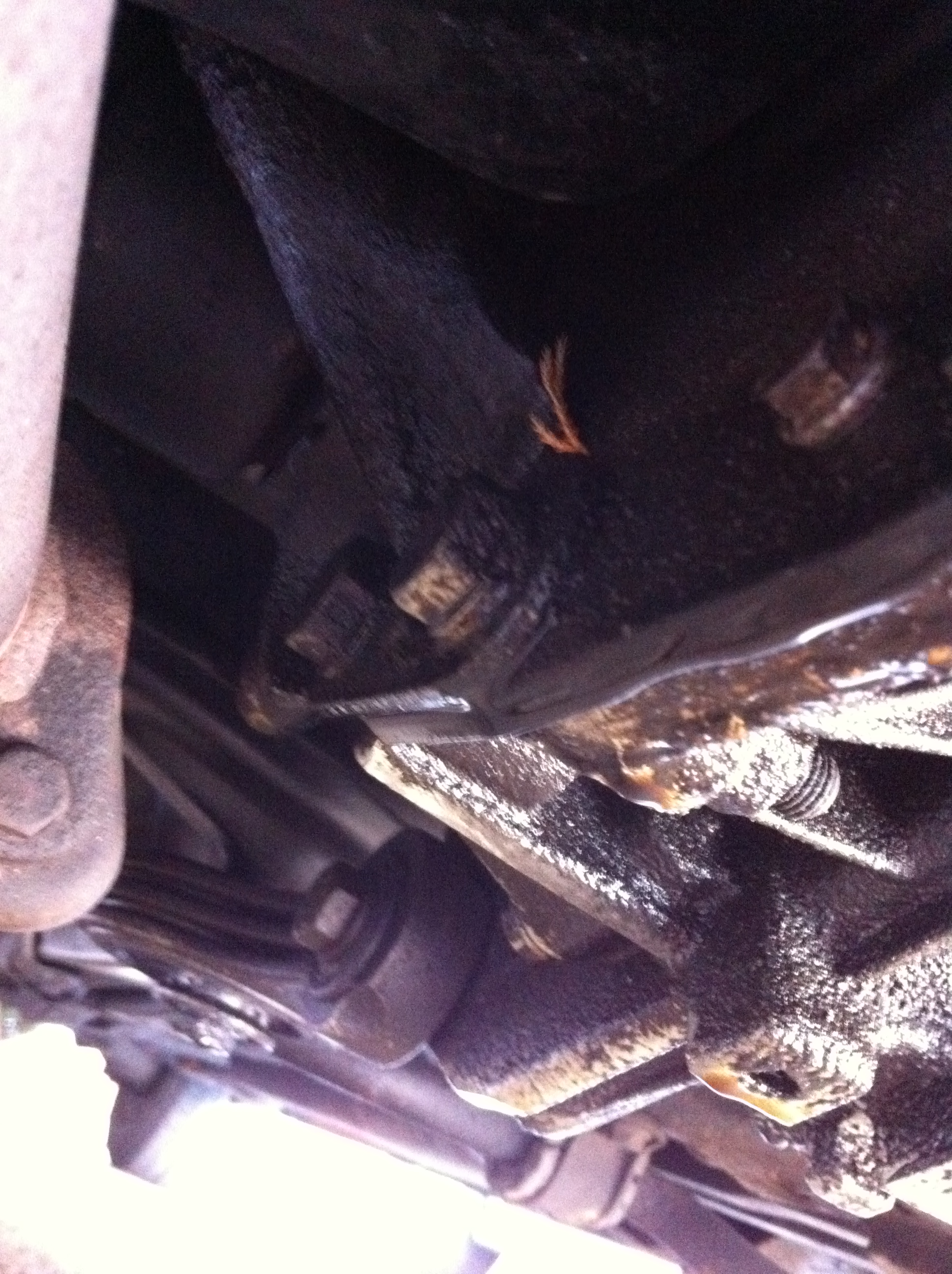 leaking gearbox The FIAT Forum