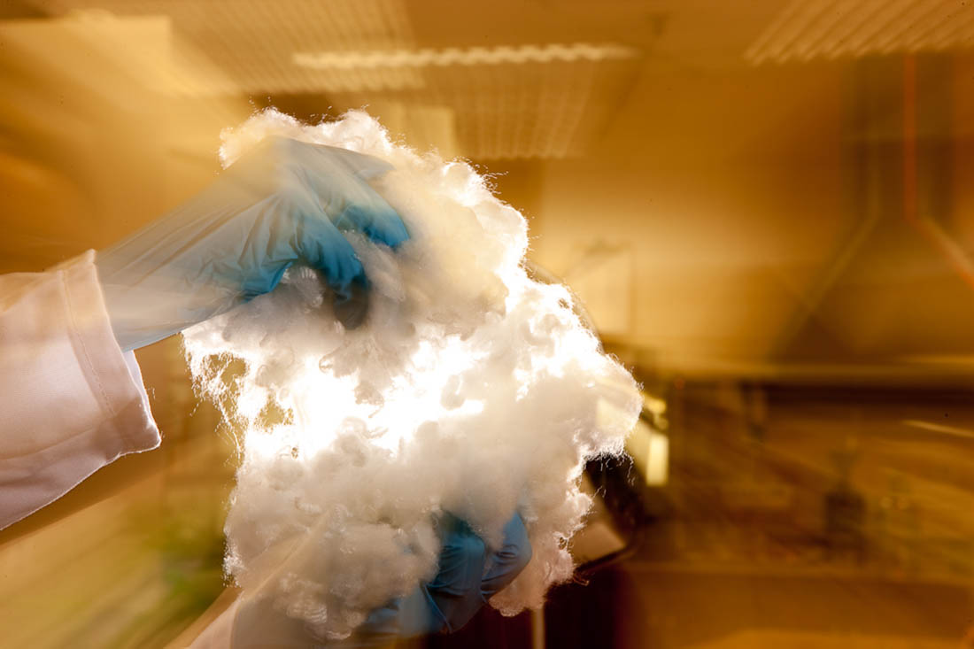 warner7281Wellman International Fiber Journal