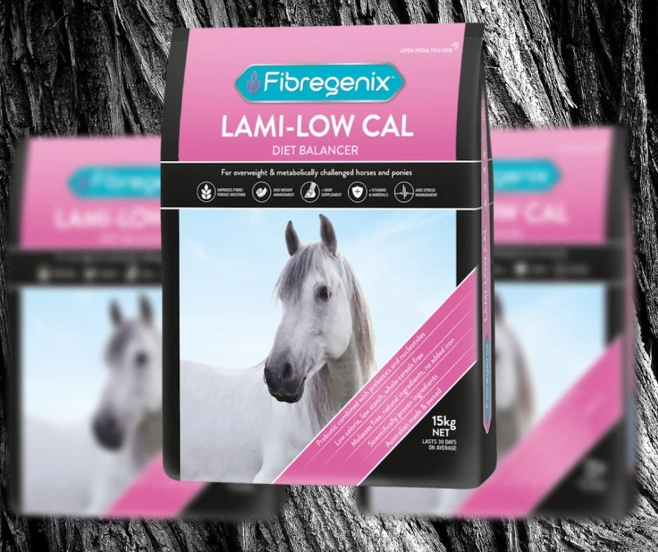 Assist In Preventing Laminitis For Horse's That Are Overweight