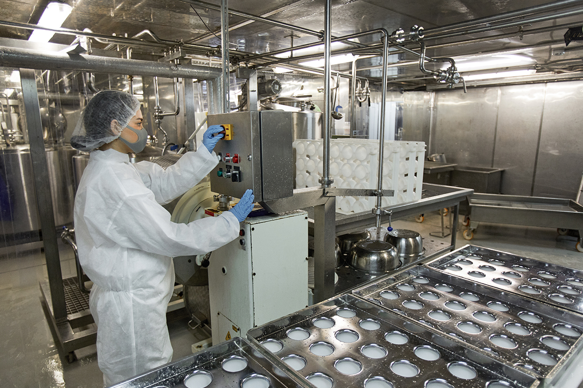 Different Types and Techniques Involved in Food Processing FICSI