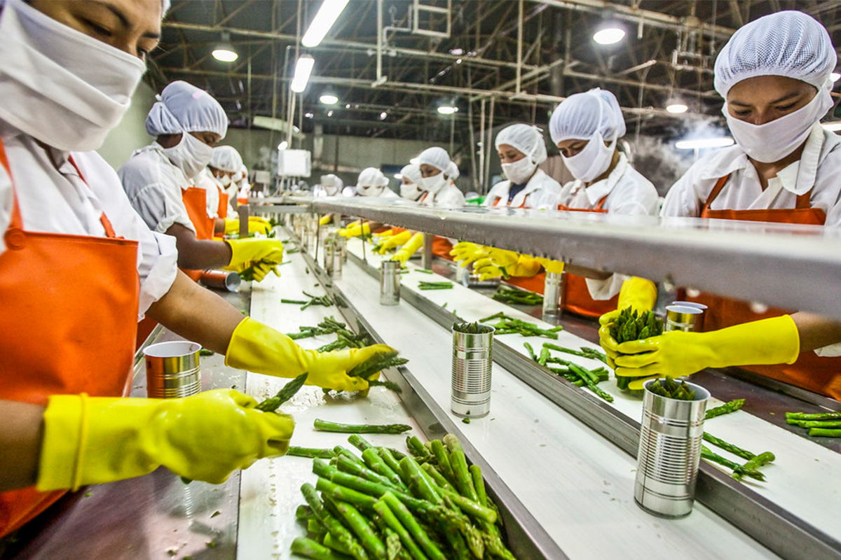Unveiling the Scope of the Food Processing Industry in India FICSI