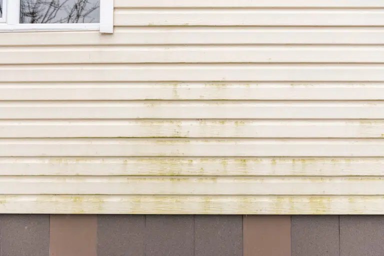 Painting vs. Replacing Vinyl Siding Remodeling Tips