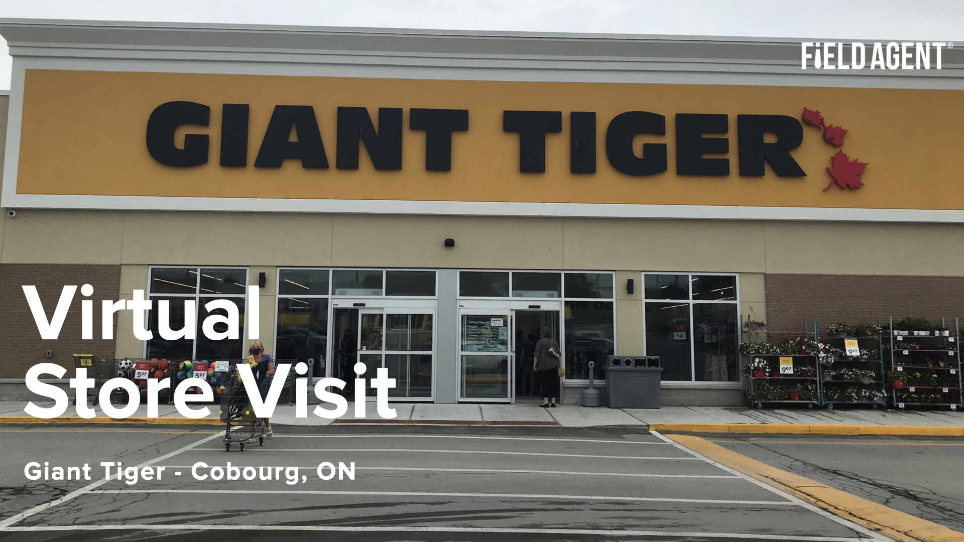 Virtual Store Tour Giant Tiger, Cobourg