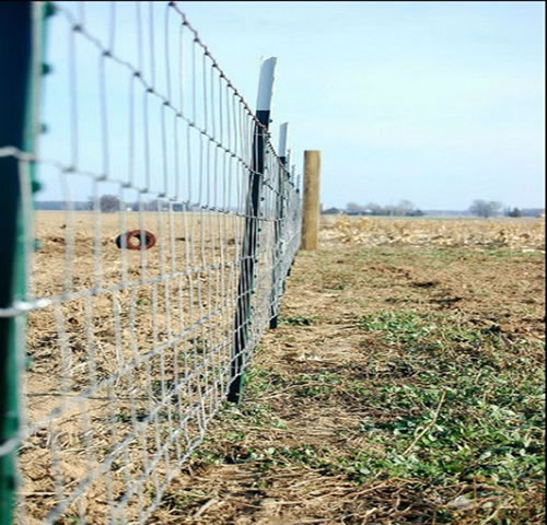 Studded T Post Fencing Fittings for Field Fence Installation