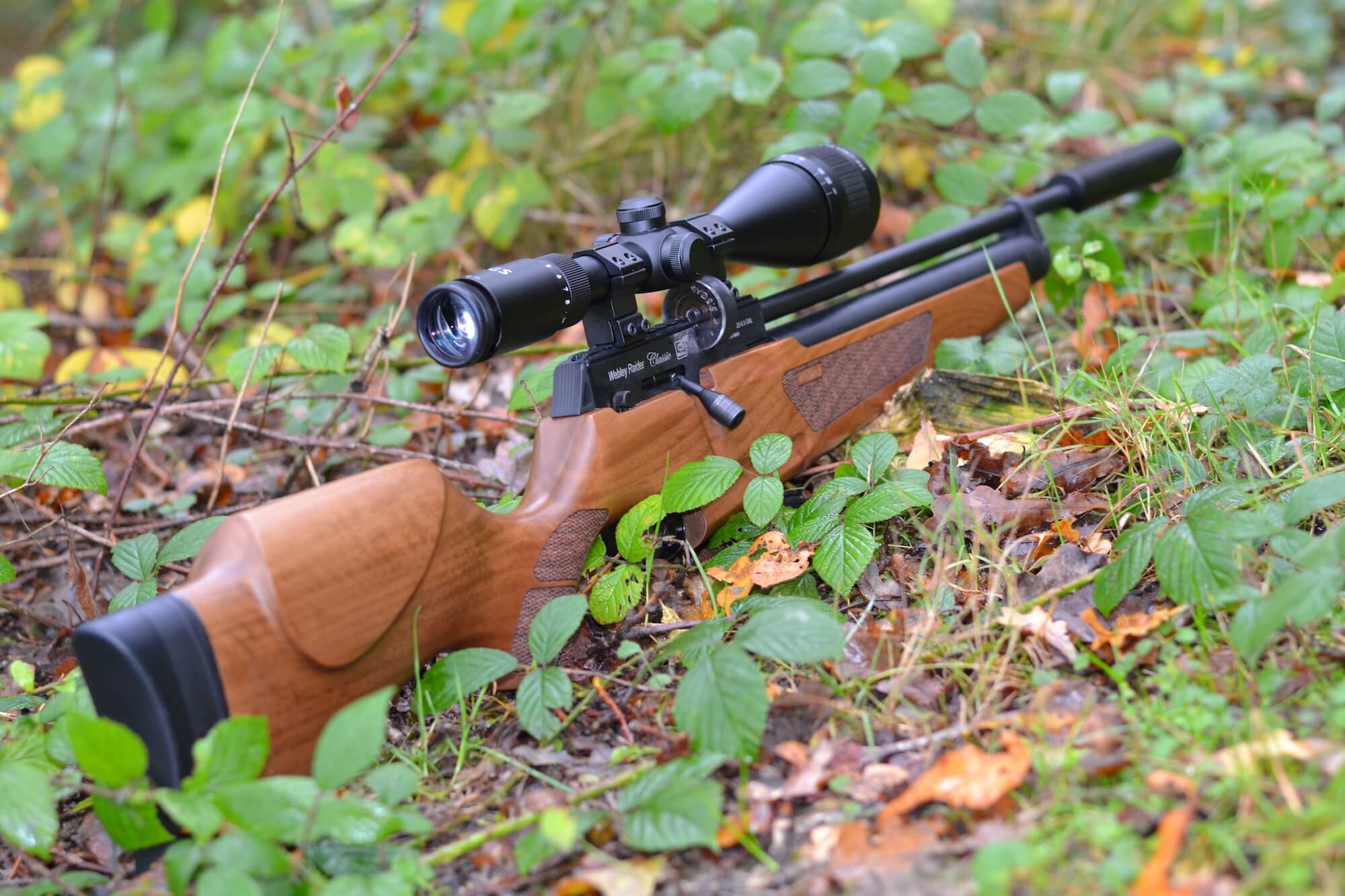 Air Guns Archives Field Sports Equipe