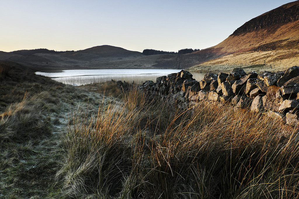 FifeWeather.co.uk Border Wall