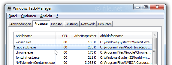 raptrstub.exe Windows Prozess Was ist das?