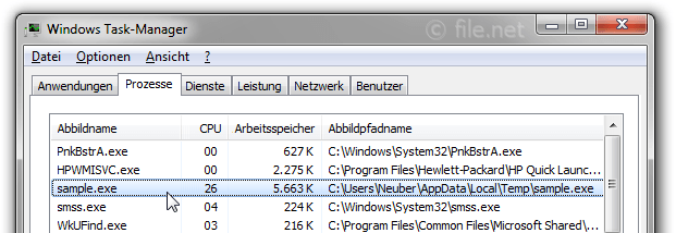 sample.exe Windows Prozess Was ist das?